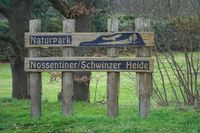 Nossentiner/Schwinzer Heide-1